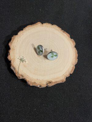 Roestvrijstaal oorbellen met klavertje vier (drie)