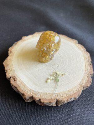 Resin Schedel met Gedroogde Gele Bloemen