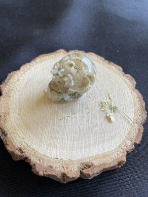 Resin Schedel met Gedroogde Witte Bloemen