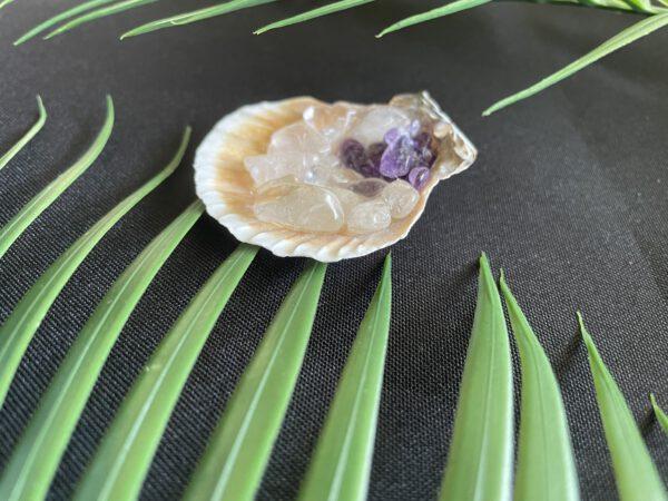 Ondiepe Schelp met Gouden Driehoek Trommelsteentjes