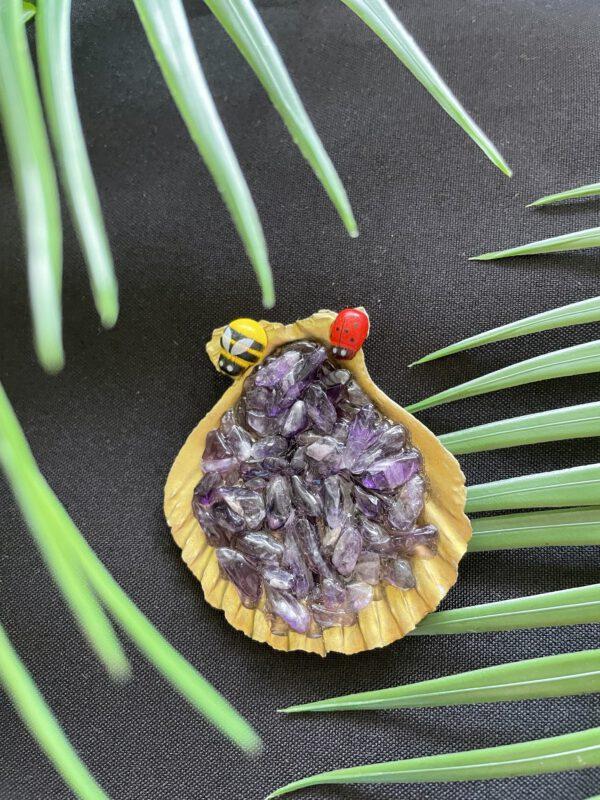 Goud Schelp met Amethist Trommelsteentjes beestjes