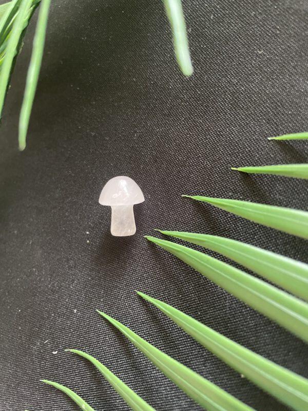 Paddenstoel van Rozenkwarts – Liefde en Harmonie