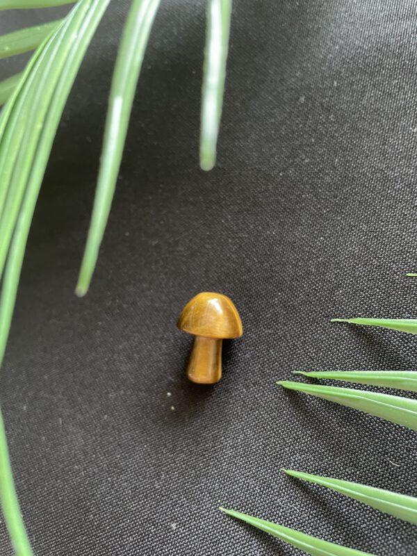 Paddenstoel van Tijgeroog - Zelfvertrouwen en Bescherming
