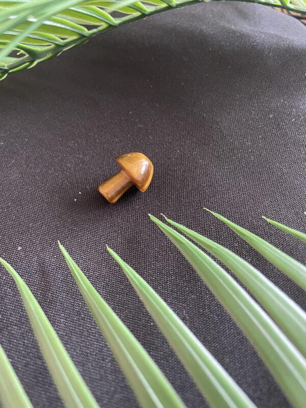 Paddenstoel van Tijgeroog - Zelfvertrouwen en Bescherming